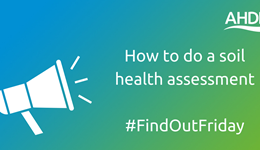 How to do a soil health assessment